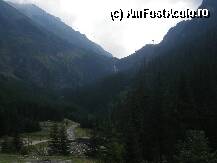 [P32]  -- <small>// FĂRĂ DESCRIERE</small> » foto by ovi2stanciu
 - 
<span class="allrVoted glyphicon glyphicon-heart hidden" id="av31361"></span>
<a class="m-l-10 hidden" id="sv31361" onclick="voting_Foto_DelVot(,31361,2855)" role="button">șterge vot <span class="glyphicon glyphicon-remove"></span></a>
<a id="v931361" class=" c-red"  onclick="voting_Foto_SetVot(31361)" role="button"><span class="glyphicon glyphicon-heart-empty"></span> <b>LIKE</b> = Votează poza</a> <img class="hidden"  id="f31361W9" src="/imagini/loader.gif" border="0" /><span class="AjErrMes hidden" id="e31361ErM"></span>