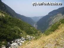 [P35]  -- <small>// FĂRĂ DESCRIERE</small> » foto by ovi2stanciu
 - 
<span class="allrVoted glyphicon glyphicon-heart hidden" id="av31364"></span>
<a class="m-l-10 hidden" id="sv31364" onclick="voting_Foto_DelVot(,31364,2855)" role="button">șterge vot <span class="glyphicon glyphicon-remove"></span></a>
<a id="v931364" class=" c-red"  onclick="voting_Foto_SetVot(31364)" role="button"><span class="glyphicon glyphicon-heart-empty"></span> <b>LIKE</b> = Votează poza</a> <img class="hidden"  id="f31364W9" src="/imagini/loader.gif" border="0" /><span class="AjErrMes hidden" id="e31364ErM"></span>