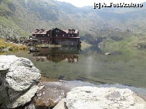 [P24] cabana Balea lac » foto by wolf2001*
 - 
<span class="allrVoted glyphicon glyphicon-heart hidden" id="av689056"></span>
<a class="m-l-10 hidden" id="sv689056" onclick="voting_Foto_DelVot(,689056,2855)" role="button">șterge vot <span class="glyphicon glyphicon-remove"></span></a>
<a id="v9689056" class=" c-red"  onclick="voting_Foto_SetVot(689056)" role="button"><span class="glyphicon glyphicon-heart-empty"></span> <b>LIKE</b> = Votează poza</a> <img class="hidden"  id="f689056W9" src="/imagini/loader.gif" border="0" /><span class="AjErrMes hidden" id="e689056ErM"></span>