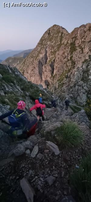 [P40] Pe creasta Viștea-Moldoveanu » foto by Mika
 - 
<span class="allrVoted glyphicon glyphicon-heart hidden" id="av1448789"></span>
<a class="m-l-10 hidden" id="sv1448789" onclick="voting_Foto_DelVot(,1448789,2855)" role="button">șterge vot <span class="glyphicon glyphicon-remove"></span></a>
<a id="v91448789" class=" c-red"  onclick="voting_Foto_SetVot(1448789)" role="button"><span class="glyphicon glyphicon-heart-empty"></span> <b>LIKE</b> = Votează poza</a> <img class="hidden"  id="f1448789W9" src="/imagini/loader.gif" border="0" /><span class="AjErrMes hidden" id="e1448789ErM"></span>