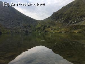 [P51] Șaua Capra oglindindu-se in lac.  » foto by Mika
 - 
<span class="allrVoted glyphicon glyphicon-heart hidden" id="av892764"></span>
<a class="m-l-10 hidden" id="sv892764" onclick="voting_Foto_DelVot(,892764,2855)" role="button">șterge vot <span class="glyphicon glyphicon-remove"></span></a>
<a id="v9892764" class=" c-red"  onclick="voting_Foto_SetVot(892764)" role="button"><span class="glyphicon glyphicon-heart-empty"></span> <b>LIKE</b> = Votează poza</a> <img class="hidden"  id="f892764W9" src="/imagini/loader.gif" border="0" /><span class="AjErrMes hidden" id="e892764ErM"></span>