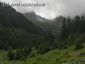 [P13] Fereastra mare incepea să se vadă dintre nori » foto by Mika
 - 
<span class="allrVoted glyphicon glyphicon-heart hidden" id="av1169336"></span>
<a class="m-l-10 hidden" id="sv1169336" onclick="voting_Foto_DelVot(,1169336,2855)" role="button">șterge vot <span class="glyphicon glyphicon-remove"></span></a>
<a id="v91169336" class=" c-red"  onclick="voting_Foto_SetVot(1169336)" role="button"><span class="glyphicon glyphicon-heart-empty"></span> <b>LIKE</b> = Votează poza</a> <img class="hidden"  id="f1169336W9" src="/imagini/loader.gif" border="0" /><span class="AjErrMes hidden" id="e1169336ErM"></span>