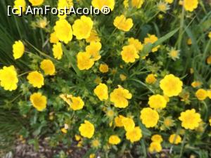 [P54] Piciorul Cocoșului » foto by Mika
 - 
<span class="allrVoted glyphicon glyphicon-heart hidden" id="av1169377"></span>
<a class="m-l-10 hidden" id="sv1169377" onclick="voting_Foto_DelVot(,1169377,2855)" role="button">șterge vot <span class="glyphicon glyphicon-remove"></span></a>
<a id="v91169377" class=" c-red"  onclick="voting_Foto_SetVot(1169377)" role="button"><span class="glyphicon glyphicon-heart-empty"></span> <b>LIKE</b> = Votează poza</a> <img class="hidden"  id="f1169377W9" src="/imagini/loader.gif" border="0" /><span class="AjErrMes hidden" id="e1169377ErM"></span>
