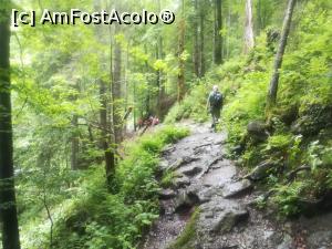 [P06] Pe poteca din pădure » foto by Mika
 - 
<span class="allrVoted glyphicon glyphicon-heart hidden" id="av1169329"></span>
<a class="m-l-10 hidden" id="sv1169329" onclick="voting_Foto_DelVot(,1169329,2855)" role="button">șterge vot <span class="glyphicon glyphicon-remove"></span></a>
<a id="v91169329" class=" c-red"  onclick="voting_Foto_SetVot(1169329)" role="button"><span class="glyphicon glyphicon-heart-empty"></span> <b>LIKE</b> = Votează poza</a> <img class="hidden"  id="f1169329W9" src="/imagini/loader.gif" border="0" /><span class="AjErrMes hidden" id="e1169329ErM"></span>