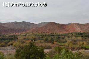 [P25]  -- <small>// FĂRĂ DESCRIERE</small> » foto by icata24
 - 
<span class="allrVoted glyphicon glyphicon-heart hidden" id="av825759"></span>
<a class="m-l-10 hidden" id="sv825759" onclick="voting_Foto_DelVot(,825759,2870)" role="button">șterge vot <span class="glyphicon glyphicon-remove"></span></a>
<a id="v9825759" class=" c-red"  onclick="voting_Foto_SetVot(825759)" role="button"><span class="glyphicon glyphicon-heart-empty"></span> <b>LIKE</b> = Votează poza</a> <img class="hidden"  id="f825759W9" src="/imagini/loader.gif" border="0" /><span class="AjErrMes hidden" id="e825759ErM"></span>