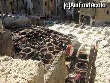 [P02] Tanneries in Fez » foto by LadyA
 - 
<span class="allrVoted glyphicon glyphicon-heart hidden" id="av204076"></span>
<a class="m-l-10 hidden" id="sv204076" onclick="voting_Foto_DelVot(,204076,2870)" role="button">șterge vot <span class="glyphicon glyphicon-remove"></span></a>
<a id="v9204076" class=" c-red"  onclick="voting_Foto_SetVot(204076)" role="button"><span class="glyphicon glyphicon-heart-empty"></span> <b>LIKE</b> = Votează poza</a> <img class="hidden"  id="f204076W9" src="/imagini/loader.gif" border="0" /><span class="AjErrMes hidden" id="e204076ErM"></span>