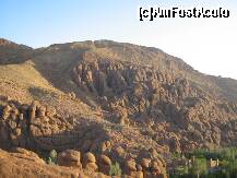 [P05] in drum spre Dades Gorges » foto by LadyA
 - 
<span class="allrVoted glyphicon glyphicon-heart hidden" id="av204079"></span>
<a class="m-l-10 hidden" id="sv204079" onclick="voting_Foto_DelVot(,204079,2870)" role="button">șterge vot <span class="glyphicon glyphicon-remove"></span></a>
<a id="v9204079" class=" c-red"  onclick="voting_Foto_SetVot(204079)" role="button"><span class="glyphicon glyphicon-heart-empty"></span> <b>LIKE</b> = Votează poza</a> <img class="hidden"  id="f204079W9" src="/imagini/loader.gif" border="0" /><span class="AjErrMes hidden" id="e204079ErM"></span>