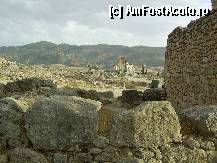 [P09] Volubilis - Relicve antice. » foto by iulianic
 - 
<span class="allrVoted glyphicon glyphicon-heart hidden" id="av297258"></span>
<a class="m-l-10 hidden" id="sv297258" onclick="voting_Foto_DelVot(,297258,2870)" role="button">șterge vot <span class="glyphicon glyphicon-remove"></span></a>
<a id="v9297258" class=" c-red"  onclick="voting_Foto_SetVot(297258)" role="button"><span class="glyphicon glyphicon-heart-empty"></span> <b>LIKE</b> = Votează poza</a> <img class="hidden"  id="f297258W9" src="/imagini/loader.gif" border="0" /><span class="AjErrMes hidden" id="e297258ErM"></span>