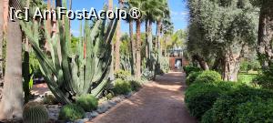 [P14] Marrakech, Hotel La Mamounia, Grădina » foto by mprofeanu
 - 
<span class="allrVoted glyphicon glyphicon-heart hidden" id="av1456248"></span>
<a class="m-l-10 hidden" id="sv1456248" onclick="voting_Foto_DelVot(,1456248,2870)" role="button">șterge vot <span class="glyphicon glyphicon-remove"></span></a>
<a id="v91456248" class=" c-red"  onclick="voting_Foto_SetVot(1456248)" role="button"><span class="glyphicon glyphicon-heart-empty"></span> <b>LIKE</b> = Votează poza</a> <img class="hidden"  id="f1456248W9" src="/imagini/loader.gif" border="0" /><span class="AjErrMes hidden" id="e1456248ErM"></span>