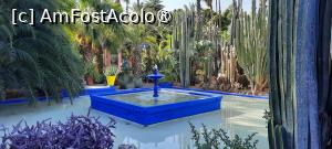 [P19] Marrakech, Grădina Majorelle » foto by mprofeanu
 - 
<span class="allrVoted glyphicon glyphicon-heart hidden" id="av1456253"></span>
<a class="m-l-10 hidden" id="sv1456253" onclick="voting_Foto_DelVot(,1456253,2870)" role="button">șterge vot <span class="glyphicon glyphicon-remove"></span></a>
<a id="v91456253" class=" c-red"  onclick="voting_Foto_SetVot(1456253)" role="button"><span class="glyphicon glyphicon-heart-empty"></span> <b>LIKE</b> = Votează poza</a> <img class="hidden"  id="f1456253W9" src="/imagini/loader.gif" border="0" /><span class="AjErrMes hidden" id="e1456253ErM"></span>
