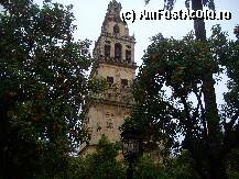 [P05] TURNUL MOSCHEIIEI-CATEDERALA MEZQUITA » foto by stefania
 - 
<span class="allrVoted glyphicon glyphicon-heart hidden" id="av36593"></span>
<a class="m-l-10 hidden" id="sv36593" onclick="voting_Foto_DelVot(,36593,2870)" role="button">șterge vot <span class="glyphicon glyphicon-remove"></span></a>
<a id="v936593" class=" c-red"  onclick="voting_Foto_SetVot(36593)" role="button"><span class="glyphicon glyphicon-heart-empty"></span> <b>LIKE</b> = Votează poza</a> <img class="hidden"  id="f36593W9" src="/imagini/loader.gif" border="0" /><span class="AjErrMes hidden" id="e36593ErM"></span>