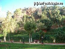 [P04] PARCUL DINBENI-MELLAL » foto by stefania
 - 
<span class="allrVoted glyphicon glyphicon-heart hidden" id="av54963"></span>
<a class="m-l-10 hidden" id="sv54963" onclick="voting_Foto_DelVot(,54963,2870)" role="button">șterge vot <span class="glyphicon glyphicon-remove"></span></a>
<a id="v954963" class=" c-red"  onclick="voting_Foto_SetVot(54963)" role="button"><span class="glyphicon glyphicon-heart-empty"></span> <b>LIKE</b> = Votează poza</a> <img class="hidden"  id="f54963W9" src="/imagini/loader.gif" border="0" /><span class="AjErrMes hidden" id="e54963ErM"></span>