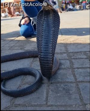 [P44] Piata Jemaa_El Fnaa » foto by catrinel
 - 
<span class="allrVoted glyphicon glyphicon-heart hidden" id="av1365957"></span>
<a class="m-l-10 hidden" id="sv1365957" onclick="voting_Foto_DelVot(,1365957,2870)" role="button">șterge vot <span class="glyphicon glyphicon-remove"></span></a>
<a id="v91365957" class=" c-red"  onclick="voting_Foto_SetVot(1365957)" role="button"><span class="glyphicon glyphicon-heart-empty"></span> <b>LIKE</b> = Votează poza</a> <img class="hidden"  id="f1365957W9" src="/imagini/loader.gif" border="0" /><span class="AjErrMes hidden" id="e1365957ErM"></span>