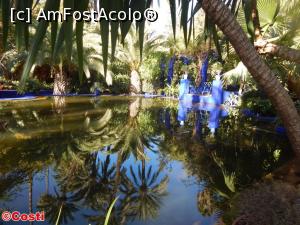 [P11] În grădinile Majorelle, din Marrakech.  » foto by Costi
 - 
<span class="allrVoted glyphicon glyphicon-heart hidden" id="av836093"></span>
<a class="m-l-10 hidden" id="sv836093" onclick="voting_Foto_DelVot(,836093,2870)" role="button">șterge vot <span class="glyphicon glyphicon-remove"></span></a>
<a id="v9836093" class=" c-red"  onclick="voting_Foto_SetVot(836093)" role="button"><span class="glyphicon glyphicon-heart-empty"></span> <b>LIKE</b> = Votează poza</a> <img class="hidden"  id="f836093W9" src="/imagini/loader.gif" border="0" /><span class="AjErrMes hidden" id="e836093ErM"></span>