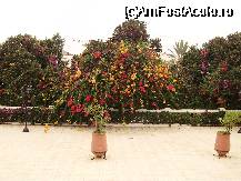 [P06]  -- <small>// FĂRĂ DESCRIERE</small> » foto by casamargo
 - 
<span class="allrVoted glyphicon glyphicon-heart hidden" id="av54847"></span>
<a class="m-l-10 hidden" id="sv54847" onclick="voting_Foto_DelVot(,54847,2870)" role="button">șterge vot <span class="glyphicon glyphicon-remove"></span></a>
<a id="v954847" class=" c-red"  onclick="voting_Foto_SetVot(54847)" role="button"><span class="glyphicon glyphicon-heart-empty"></span> <b>LIKE</b> = Votează poza</a> <img class="hidden"  id="f54847W9" src="/imagini/loader.gif" border="0" /><span class="AjErrMes hidden" id="e54847ErM"></span>