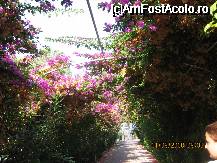 [P09] Aleea de la hotel la plaja » foto by ionnella_24
 - 
<span class="allrVoted glyphicon glyphicon-heart hidden" id="av16412"></span>
<a class="m-l-10 hidden" id="sv16412" onclick="voting_Foto_DelVot(,16412,2876)" role="button">șterge vot <span class="glyphicon glyphicon-remove"></span></a>
<a id="v916412" class=" c-red"  onclick="voting_Foto_SetVot(16412)" role="button"><span class="glyphicon glyphicon-heart-empty"></span> <b>LIKE</b> = Votează poza</a> <img class="hidden"  id="f16412W9" src="/imagini/loader.gif" border="0" /><span class="AjErrMes hidden" id="e16412ErM"></span>