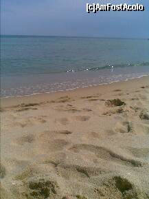 [P29] Aquaazur - pe plaja cu nisip și cu o mare liniștită » foto by nicole33
 - 
<span class="allrVoted glyphicon glyphicon-heart hidden" id="av284113"></span>
<a class="m-l-10 hidden" id="sv284113" onclick="voting_Foto_DelVot(,284113,2893)" role="button">șterge vot <span class="glyphicon glyphicon-remove"></span></a>
<a id="v9284113" class=" c-red"  onclick="voting_Foto_SetVot(284113)" role="button"><span class="glyphicon glyphicon-heart-empty"></span> <b>LIKE</b> = Votează poza</a> <img class="hidden"  id="f284113W9" src="/imagini/loader.gif" border="0" /><span class="AjErrMes hidden" id="e284113ErM"></span>