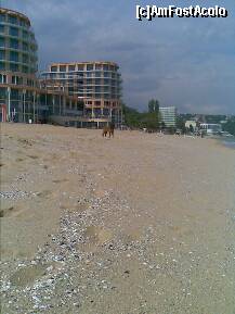 [P31] Aquaazur - pe plaja doar noi și un câine vagabond, langă hotelul Azalia » foto by nicole33
 - 
<span class="allrVoted glyphicon glyphicon-heart hidden" id="av284115"></span>
<a class="m-l-10 hidden" id="sv284115" onclick="voting_Foto_DelVot(,284115,2893)" role="button">șterge vot <span class="glyphicon glyphicon-remove"></span></a>
<a id="v9284115" class=" c-red"  onclick="voting_Foto_SetVot(284115)" role="button"><span class="glyphicon glyphicon-heart-empty"></span> <b>LIKE</b> = Votează poza</a> <img class="hidden"  id="f284115W9" src="/imagini/loader.gif" border="0" /><span class="AjErrMes hidden" id="e284115ErM"></span>