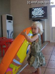 [P22] Mama, il luam acasa? » foto by Bmona
 - 
<span class="allrVoted glyphicon glyphicon-heart hidden" id="av241219"></span>
<a class="m-l-10 hidden" id="sv241219" onclick="voting_Foto_DelVot(,241219,2905)" role="button">șterge vot <span class="glyphicon glyphicon-remove"></span></a>
<a id="v9241219" class=" c-red"  onclick="voting_Foto_SetVot(241219)" role="button"><span class="glyphicon glyphicon-heart-empty"></span> <b>LIKE</b> = Votează poza</a> <img class="hidden"  id="f241219W9" src="/imagini/loader.gif" border="0" /><span class="AjErrMes hidden" id="e241219ErM"></span>