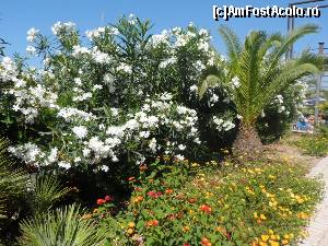 [P43]  -- <small>// FĂRĂ DESCRIERE</small> » foto by pnnicoleta
 - 
<span class="allrVoted glyphicon glyphicon-heart hidden" id="av531874"></span>
<a class="m-l-10 hidden" id="sv531874" onclick="voting_Foto_DelVot(,531874,2905)" role="button">șterge vot <span class="glyphicon glyphicon-remove"></span></a>
<a id="v9531874" class=" c-red"  onclick="voting_Foto_SetVot(531874)" role="button"><span class="glyphicon glyphicon-heart-empty"></span> <b>LIKE</b> = Votează poza</a> <img class="hidden"  id="f531874W9" src="/imagini/loader.gif" border="0" /><span class="AjErrMes hidden" id="e531874ErM"></span>