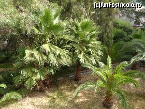 [P45] curtea hotelului » foto by pnnicoleta
 - 
<span class="allrVoted glyphicon glyphicon-heart hidden" id="av531876"></span>
<a class="m-l-10 hidden" id="sv531876" onclick="voting_Foto_DelVot(,531876,2905)" role="button">șterge vot <span class="glyphicon glyphicon-remove"></span></a>
<a id="v9531876" class=" c-red"  onclick="voting_Foto_SetVot(531876)" role="button"><span class="glyphicon glyphicon-heart-empty"></span> <b>LIKE</b> = Votează poza</a> <img class="hidden"  id="f531876W9" src="/imagini/loader.gif" border="0" /><span class="AjErrMes hidden" id="e531876ErM"></span>