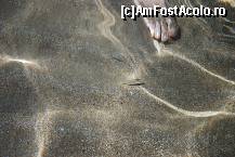 [P11] Plaja hotel Aquis Sandy Beach resort - Agios Georgios sud » foto by tolzan
 - 
<span class="allrVoted glyphicon glyphicon-heart hidden" id="av46992"></span>
<a class="m-l-10 hidden" id="sv46992" onclick="voting_Foto_DelVot(,46992,2905)" role="button">șterge vot <span class="glyphicon glyphicon-remove"></span></a>
<a id="v946992" class=" c-red"  onclick="voting_Foto_SetVot(46992)" role="button"><span class="glyphicon glyphicon-heart-empty"></span> <b>LIKE</b> = Votează poza</a> <img class="hidden"  id="f46992W9" src="/imagini/loader.gif" border="0" /><span class="AjErrMes hidden" id="e46992ErM"></span>