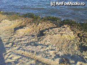 [P06] Straturi de alge. Cand calcai ti se scufunda piciorul in ele. Asa cum spuneam miroseau destul de urat daca te apropiai si de multe ori mirosul se simtea si la sezlonguri.  » foto by Gealy
 - 
<span class="allrVoted glyphicon glyphicon-heart hidden" id="av458277"></span>
<a class="m-l-10 hidden" id="sv458277" onclick="voting_Foto_DelVot(,458277,2919)" role="button">șterge vot <span class="glyphicon glyphicon-remove"></span></a>
<a id="v9458277" class=" c-red"  onclick="voting_Foto_SetVot(458277)" role="button"><span class="glyphicon glyphicon-heart-empty"></span> <b>LIKE</b> = Votează poza</a> <img class="hidden"  id="f458277W9" src="/imagini/loader.gif" border="0" /><span class="AjErrMes hidden" id="e458277ErM"></span>