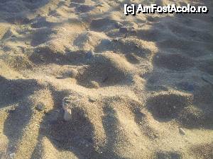 [P07] Nisipul este fin dar contine pietre mai rotunjite sau mai ascutite. Jucandu-ma cu copilul prin nisip m-am zgariat de vreo 2 ori.  » foto by Gealy
 - 
<span class="allrVoted glyphicon glyphicon-heart hidden" id="av458285"></span>
<a class="m-l-10 hidden" id="sv458285" onclick="voting_Foto_DelVot(,458285,2919)" role="button">șterge vot <span class="glyphicon glyphicon-remove"></span></a>
<a id="v9458285" class=" c-red"  onclick="voting_Foto_SetVot(458285)" role="button"><span class="glyphicon glyphicon-heart-empty"></span> <b>LIKE</b> = Votează poza</a> <img class="hidden"  id="f458285W9" src="/imagini/loader.gif" border="0" /><span class="AjErrMes hidden" id="e458285ErM"></span>