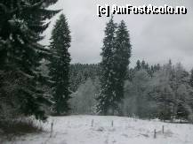 [P03] Incep sa apara padurile de brazi, 'cu cetina tot verde', pudrati cu neaua proaspat cazuta. » foto by myosothis
 - 
<span class="allrVoted glyphicon glyphicon-heart hidden" id="av285136"></span>
<a class="m-l-10 hidden" id="sv285136" onclick="voting_Foto_DelVot(,285136,2922)" role="button">șterge vot <span class="glyphicon glyphicon-remove"></span></a>
<a id="v9285136" class=" c-red"  onclick="voting_Foto_SetVot(285136)" role="button"><span class="glyphicon glyphicon-heart-empty"></span> <b>LIKE</b> = Votează poza</a> <img class="hidden"  id="f285136W9" src="/imagini/loader.gif" border="0" /><span class="AjErrMes hidden" id="e285136ErM"></span>