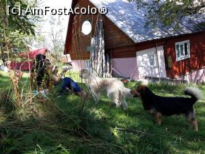 [P26] Muzeul Pătrăhăițești, Arieșeni, Alba, Apuseni » foto by Mioritik
 - 
<span class="allrVoted glyphicon glyphicon-heart hidden" id="av1290565"></span>
<a class="m-l-10 hidden" id="sv1290565" onclick="voting_Foto_DelVot(,1290565,2923)" role="button">șterge vot <span class="glyphicon glyphicon-remove"></span></a>
<a id="v91290565" class=" c-red"  onclick="voting_Foto_SetVot(1290565)" role="button"><span class="glyphicon glyphicon-heart-empty"></span> <b>LIKE</b> = Votează poza</a> <img class="hidden"  id="f1290565W9" src="/imagini/loader.gif" border="0" /><span class="AjErrMes hidden" id="e1290565ErM"></span>