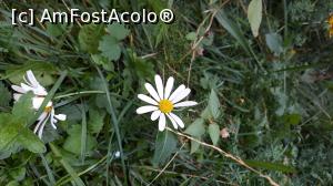 [P33] Muzeul Pătrăhăițești, Arieșeni, Alba, Apuseni » foto by Mioritik
 - 
<span class="allrVoted glyphicon glyphicon-heart hidden" id="av1290572"></span>
<a class="m-l-10 hidden" id="sv1290572" onclick="voting_Foto_DelVot(,1290572,2923)" role="button">șterge vot <span class="glyphicon glyphicon-remove"></span></a>
<a id="v91290572" class=" c-red"  onclick="voting_Foto_SetVot(1290572)" role="button"><span class="glyphicon glyphicon-heart-empty"></span> <b>LIKE</b> = Votează poza</a> <img class="hidden"  id="f1290572W9" src="/imagini/loader.gif" border="0" /><span class="AjErrMes hidden" id="e1290572ErM"></span>