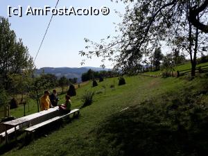 [P39] Muzeul Pătrăhăițești, Arieșeni, Alba, Apuseni » foto by Mioritik
 - 
<span class="allrVoted glyphicon glyphicon-heart hidden" id="av1290578"></span>
<a class="m-l-10 hidden" id="sv1290578" onclick="voting_Foto_DelVot(,1290578,2923)" role="button">șterge vot <span class="glyphicon glyphicon-remove"></span></a>
<a id="v91290578" class=" c-red"  onclick="voting_Foto_SetVot(1290578)" role="button"><span class="glyphicon glyphicon-heart-empty"></span> <b>LIKE</b> = Votează poza</a> <img class="hidden"  id="f1290578W9" src="/imagini/loader.gif" border="0" /><span class="AjErrMes hidden" id="e1290578ErM"></span>
