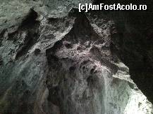 [P13] cred ca pe acolo stateau liliecii la Pestera Poarta lui Ionele » foto by kmy
 - 
<span class="allrVoted glyphicon glyphicon-heart hidden" id="av115569"></span>
<a class="m-l-10 hidden" id="sv115569" onclick="voting_Foto_DelVot(,115569,2923)" role="button">șterge vot <span class="glyphicon glyphicon-remove"></span></a>
<a id="v9115569" class=" c-red"  onclick="voting_Foto_SetVot(115569)" role="button"><span class="glyphicon glyphicon-heart-empty"></span> <b>LIKE</b> = Votează poza</a> <img class="hidden"  id="f115569W9" src="/imagini/loader.gif" border="0" /><span class="AjErrMes hidden" id="e115569ErM"></span>