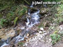 [P16] frumusetea izvorului de la Pestera Poarta lui Ioneleui » foto by kmy
 - 
<span class="allrVoted glyphicon glyphicon-heart hidden" id="av115572"></span>
<a class="m-l-10 hidden" id="sv115572" onclick="voting_Foto_DelVot(,115572,2923)" role="button">șterge vot <span class="glyphicon glyphicon-remove"></span></a>
<a id="v9115572" class=" c-red"  onclick="voting_Foto_SetVot(115572)" role="button"><span class="glyphicon glyphicon-heart-empty"></span> <b>LIKE</b> = Votează poza</a> <img class="hidden"  id="f115572W9" src="/imagini/loader.gif" border="0" /><span class="AjErrMes hidden" id="e115572ErM"></span>