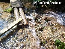 [P18] puntea pe care trebuia sa treci peste apele ce ieseau de la Pestera Poarta lui Ionele » foto by kmy
 - 
<span class="allrVoted glyphicon glyphicon-heart hidden" id="av115574"></span>
<a class="m-l-10 hidden" id="sv115574" onclick="voting_Foto_DelVot(,115574,2923)" role="button">șterge vot <span class="glyphicon glyphicon-remove"></span></a>
<a id="v9115574" class=" c-red"  onclick="voting_Foto_SetVot(115574)" role="button"><span class="glyphicon glyphicon-heart-empty"></span> <b>LIKE</b> = Votează poza</a> <img class="hidden"  id="f115574W9" src="/imagini/loader.gif" border="0" /><span class="AjErrMes hidden" id="e115574ErM"></span>