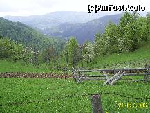 [P02] peisaj din apuseni » foto by petrus95
 - 
<span class="allrVoted glyphicon glyphicon-heart hidden" id="av154986"></span>
<a class="m-l-10 hidden" id="sv154986" onclick="voting_Foto_DelVot(,154986,2923)" role="button">șterge vot <span class="glyphicon glyphicon-remove"></span></a>
<a id="v9154986" class=" c-red"  onclick="voting_Foto_SetVot(154986)" role="button"><span class="glyphicon glyphicon-heart-empty"></span> <b>LIKE</b> = Votează poza</a> <img class="hidden"  id="f154986W9" src="/imagini/loader.gif" border="0" /><span class="AjErrMes hidden" id="e154986ErM"></span>