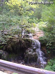 [P10] Cheile Ordancusei - cascada de langa Corobana lui Gartau » foto by biancuta
 - 
<span class="allrVoted glyphicon glyphicon-heart hidden" id="av156309"></span>
<a class="m-l-10 hidden" id="sv156309" onclick="voting_Foto_DelVot(,156309,2923)" role="button">șterge vot <span class="glyphicon glyphicon-remove"></span></a>
<a id="v9156309" class=" c-red"  onclick="voting_Foto_SetVot(156309)" role="button"><span class="glyphicon glyphicon-heart-empty"></span> <b>LIKE</b> = Votează poza</a> <img class="hidden"  id="f156309W9" src="/imagini/loader.gif" border="0" /><span class="AjErrMes hidden" id="e156309ErM"></span>