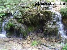 [P11] Cheile Ordancusei - doua cascade care ajung in Ordancusa » foto by biancuta
 - 
<span class="allrVoted glyphicon glyphicon-heart hidden" id="av156310"></span>
<a class="m-l-10 hidden" id="sv156310" onclick="voting_Foto_DelVot(,156310,2923)" role="button">șterge vot <span class="glyphicon glyphicon-remove"></span></a>
<a id="v9156310" class=" c-red"  onclick="voting_Foto_SetVot(156310)" role="button"><span class="glyphicon glyphicon-heart-empty"></span> <b>LIKE</b> = Votează poza</a> <img class="hidden"  id="f156310W9" src="/imagini/loader.gif" border="0" /><span class="AjErrMes hidden" id="e156310ErM"></span>