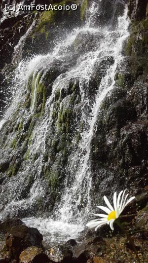 [P12] Cascada Vârciorog - frumoasă ca o mireasă » foto by gettyy
 - 
<span class="allrVoted glyphicon glyphicon-heart hidden" id="av1100751"></span>
<a class="m-l-10 hidden" id="sv1100751" onclick="voting_Foto_DelVot(,1100751,2923)" role="button">șterge vot <span class="glyphicon glyphicon-remove"></span></a>
<a id="v91100751" class=" c-red"  onclick="voting_Foto_SetVot(1100751)" role="button"><span class="glyphicon glyphicon-heart-empty"></span> <b>LIKE</b> = Votează poza</a> <img class="hidden"  id="f1100751W9" src="/imagini/loader.gif" border="0" /><span class="AjErrMes hidden" id="e1100751ErM"></span>
