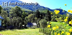 [P17] În drum spre cascada Pătrăhăițești » foto by gettyy
 - 
<span class="allrVoted glyphicon glyphicon-heart hidden" id="av1100756"></span>
<a class="m-l-10 hidden" id="sv1100756" onclick="voting_Foto_DelVot(,1100756,2923)" role="button">șterge vot <span class="glyphicon glyphicon-remove"></span></a>
<a id="v91100756" class=" c-red"  onclick="voting_Foto_SetVot(1100756)" role="button"><span class="glyphicon glyphicon-heart-empty"></span> <b>LIKE</b> = Votează poza</a> <img class="hidden"  id="f1100756W9" src="/imagini/loader.gif" border="0" /><span class="AjErrMes hidden" id="e1100756ErM"></span>