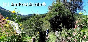 [P28] Cărăruşa ce duce spre Cascada Pătrăhăițești » foto by gettyy
 - 
<span class="allrVoted glyphicon glyphicon-heart hidden" id="av1100767"></span>
<a class="m-l-10 hidden" id="sv1100767" onclick="voting_Foto_DelVot(,1100767,2923)" role="button">șterge vot <span class="glyphicon glyphicon-remove"></span></a>
<a id="v91100767" class=" c-red"  onclick="voting_Foto_SetVot(1100767)" role="button"><span class="glyphicon glyphicon-heart-empty"></span> <b>LIKE</b> = Votează poza</a> <img class="hidden"  id="f1100767W9" src="/imagini/loader.gif" border="0" /><span class="AjErrMes hidden" id="e1100767ErM"></span>
