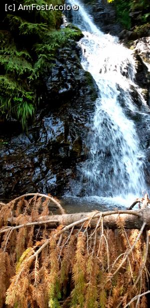 [P35] Cascada Pătrăhăițești: frumoasă si spumoasă » foto by gettyy
 - 
<span class="allrVoted glyphicon glyphicon-heart hidden" id="av1100774"></span>
<a class="m-l-10 hidden" id="sv1100774" onclick="voting_Foto_DelVot(,1100774,2923)" role="button">șterge vot <span class="glyphicon glyphicon-remove"></span></a>
<a id="v91100774" class=" c-red"  onclick="voting_Foto_SetVot(1100774)" role="button"><span class="glyphicon glyphicon-heart-empty"></span> <b>LIKE</b> = Votează poza</a> <img class="hidden"  id="f1100774W9" src="/imagini/loader.gif" border="0" /><span class="AjErrMes hidden" id="e1100774ErM"></span>