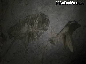 [P32] Peștera Meziad. Stalactite » foto by FlorinAndrei
 - 
<span class="allrVoted glyphicon glyphicon-heart hidden" id="av622935"></span>
<a class="m-l-10 hidden" id="sv622935" onclick="voting_Foto_DelVot(,622935,2923)" role="button">șterge vot <span class="glyphicon glyphicon-remove"></span></a>
<a id="v9622935" class=" c-red"  onclick="voting_Foto_SetVot(622935)" role="button"><span class="glyphicon glyphicon-heart-empty"></span> <b>LIKE</b> = Votează poza</a> <img class="hidden"  id="f622935W9" src="/imagini/loader.gif" border="0" /><span class="AjErrMes hidden" id="e622935ErM"></span>