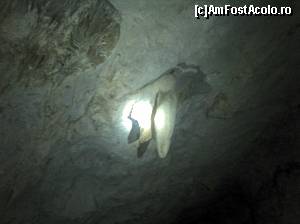 [P33] Peștera Meziad. Stalactite ca niște pumnale » foto by FlorinAndrei
 - 
<span class="allrVoted glyphicon glyphicon-heart hidden" id="av622936"></span>
<a class="m-l-10 hidden" id="sv622936" onclick="voting_Foto_DelVot(,622936,2923)" role="button">șterge vot <span class="glyphicon glyphicon-remove"></span></a>
<a id="v9622936" class=" c-red"  onclick="voting_Foto_SetVot(622936)" role="button"><span class="glyphicon glyphicon-heart-empty"></span> <b>LIKE</b> = Votează poza</a> <img class="hidden"  id="f622936W9" src="/imagini/loader.gif" border="0" /><span class="AjErrMes hidden" id="e622936ErM"></span>
