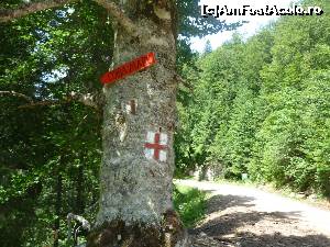 [P19] Coiba Mare, beneficiaza si de marcaj si de indicator :-)  » foto by FlorinAndrei
 - 
<span class="allrVoted glyphicon glyphicon-heart hidden" id="av621325"></span>
<a class="m-l-10 hidden" id="sv621325" onclick="voting_Foto_DelVot(,621325,2923)" role="button">șterge vot <span class="glyphicon glyphicon-remove"></span></a>
<a id="v9621325" class=" c-red"  onclick="voting_Foto_SetVot(621325)" role="button"><span class="glyphicon glyphicon-heart-empty"></span> <b>LIKE</b> = Votează poza</a> <img class="hidden"  id="f621325W9" src="/imagini/loader.gif" border="0" /><span class="AjErrMes hidden" id="e621325ErM"></span>