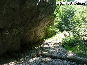 [P23] Valea Sighiştelului. Mergeam pe marcaj 'triunghi albastru', dar mai apăreau și altele ('punct roşu')  » foto by FlorinAndrei
 - 
<span class="allrVoted glyphicon glyphicon-heart hidden" id="av622891"></span>
<a class="m-l-10 hidden" id="sv622891" onclick="voting_Foto_DelVot(,622891,2923)" role="button">șterge vot <span class="glyphicon glyphicon-remove"></span></a>
<a id="v9622891" class=" c-red"  onclick="voting_Foto_SetVot(622891)" role="button"><span class="glyphicon glyphicon-heart-empty"></span> <b>LIKE</b> = Votează poza</a> <img class="hidden"  id="f622891W9" src="/imagini/loader.gif" border="0" /><span class="AjErrMes hidden" id="e622891ErM"></span>