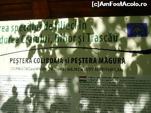 [P03] Valea Sighiştelului. Singurul panou informativ gasit pe traseu » foto by FlorinAndrei
 - 
<span class="allrVoted glyphicon glyphicon-heart hidden" id="av621336"></span>
<a class="m-l-10 hidden" id="sv621336" onclick="voting_Foto_DelVot(,621336,2923)" role="button">șterge vot <span class="glyphicon glyphicon-remove"></span></a>
<a id="v9621336" class=" c-red"  onclick="voting_Foto_SetVot(621336)" role="button"><span class="glyphicon glyphicon-heart-empty"></span> <b>LIKE</b> = Votează poza</a> <img class="hidden"  id="f621336W9" src="/imagini/loader.gif" border="0" /><span class="AjErrMes hidden" id="e621336ErM"></span>