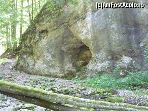 [P31] Valea Sighiştelului. Copaci căzuți, de-a lungul văii » foto by FlorinAndrei
 - 
<span class="allrVoted glyphicon glyphicon-heart hidden" id="av622899"></span>
<a class="m-l-10 hidden" id="sv622899" onclick="voting_Foto_DelVot(,622899,2923)" role="button">șterge vot <span class="glyphicon glyphicon-remove"></span></a>
<a id="v9622899" class=" c-red"  onclick="voting_Foto_SetVot(622899)" role="button"><span class="glyphicon glyphicon-heart-empty"></span> <b>LIKE</b> = Votează poza</a> <img class="hidden"  id="f622899W9" src="/imagini/loader.gif" border="0" /><span class="AjErrMes hidden" id="e622899ErM"></span>