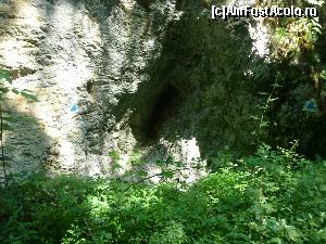 [P33] Valea Sighiştelului. Pe marcaj! :-)  » foto by FlorinAndrei
 - 
<span class="allrVoted glyphicon glyphicon-heart hidden" id="av622901"></span>
<a class="m-l-10 hidden" id="sv622901" onclick="voting_Foto_DelVot(,622901,2923)" role="button">șterge vot <span class="glyphicon glyphicon-remove"></span></a>
<a id="v9622901" class=" c-red"  onclick="voting_Foto_SetVot(622901)" role="button"><span class="glyphicon glyphicon-heart-empty"></span> <b>LIKE</b> = Votează poza</a> <img class="hidden"  id="f622901W9" src="/imagini/loader.gif" border="0" /><span class="AjErrMes hidden" id="e622901ErM"></span>