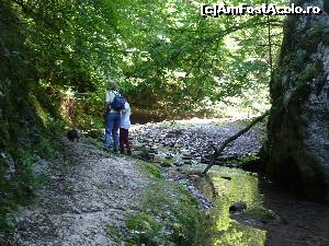 [P06] Valea Sighiştelului. Prin chei » foto by FlorinAndrei
 - 
<span class="allrVoted glyphicon glyphicon-heart hidden" id="av621339"></span>
<a class="m-l-10 hidden" id="sv621339" onclick="voting_Foto_DelVot(,621339,2923)" role="button">șterge vot <span class="glyphicon glyphicon-remove"></span></a>
<a id="v9621339" class=" c-red"  onclick="voting_Foto_SetVot(621339)" role="button"><span class="glyphicon glyphicon-heart-empty"></span> <b>LIKE</b> = Votează poza</a> <img class="hidden"  id="f621339W9" src="/imagini/loader.gif" border="0" /><span class="AjErrMes hidden" id="e621339ErM"></span>